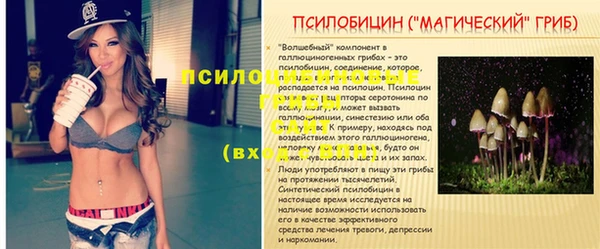 дживик Абинск
