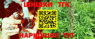 стаф Тула