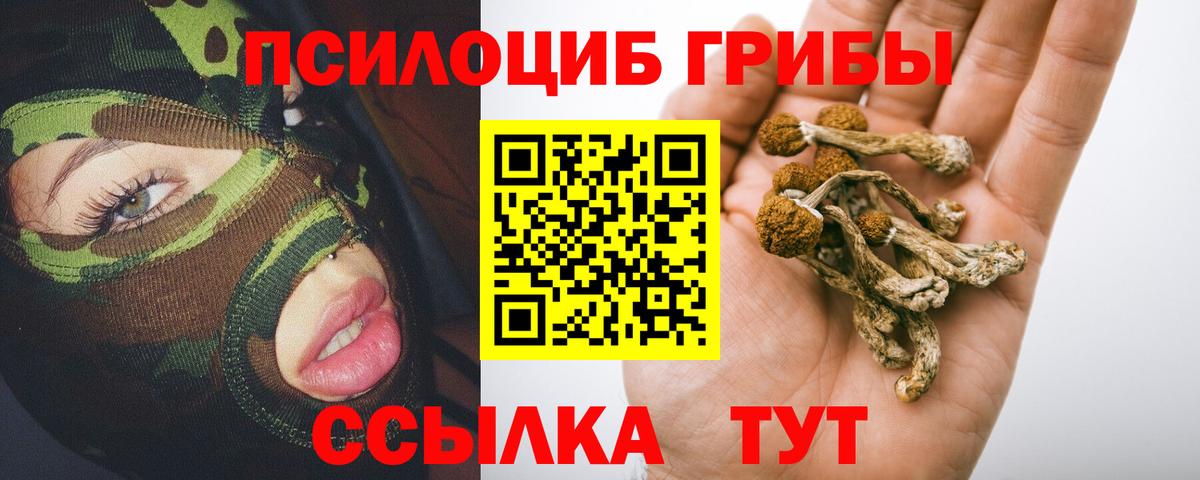где купить наркотик  Вход с VPN  Донецк  Псилоцибиновые грибы Cubensis 